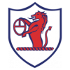 https://img.jinqingyun.com/img/football/team/11fb72f7b5eacfc881ee11bac75871fa.png