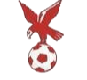 https://img.jinqingyun.com/img/football/team/4802d26df935b78bb2fcdbbff36e8864.png