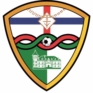 https://img.jinqingyun.com/img/football/team/579b9ad92766f2c332e0724a9a2406f0.png