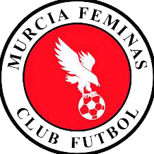 https://img.jinqingyun.com/img/football/team/8922c414a65c58e46414b2601824c32d.png