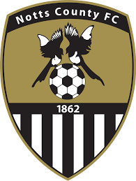 https://img.jinqingyun.com/img/football/team/9e230c89a846b9cadf91884918fa7611.png